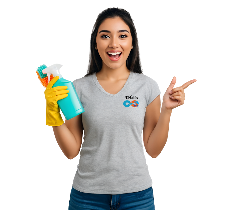 appoinment tmaids 001